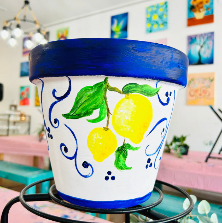 Adelaide Paint and Sip Pot Painting Paintelaide
