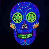 Halloween Special - Neon Sugar Skull Paint & Sip @ Adelaide City Studio