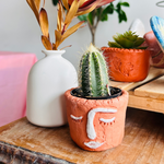 Make Your Own Succulent Pot @ Prospect Rd Studio