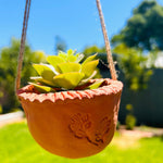 Make Your Own Succulent Pot @ Prospect Rd Studio
