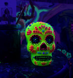 Halloween Special - Neon Skull Painting @ Prospect Rd Studio