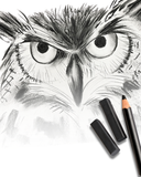 Art Cafe | Art On The Menu @ Adelaide City Studio